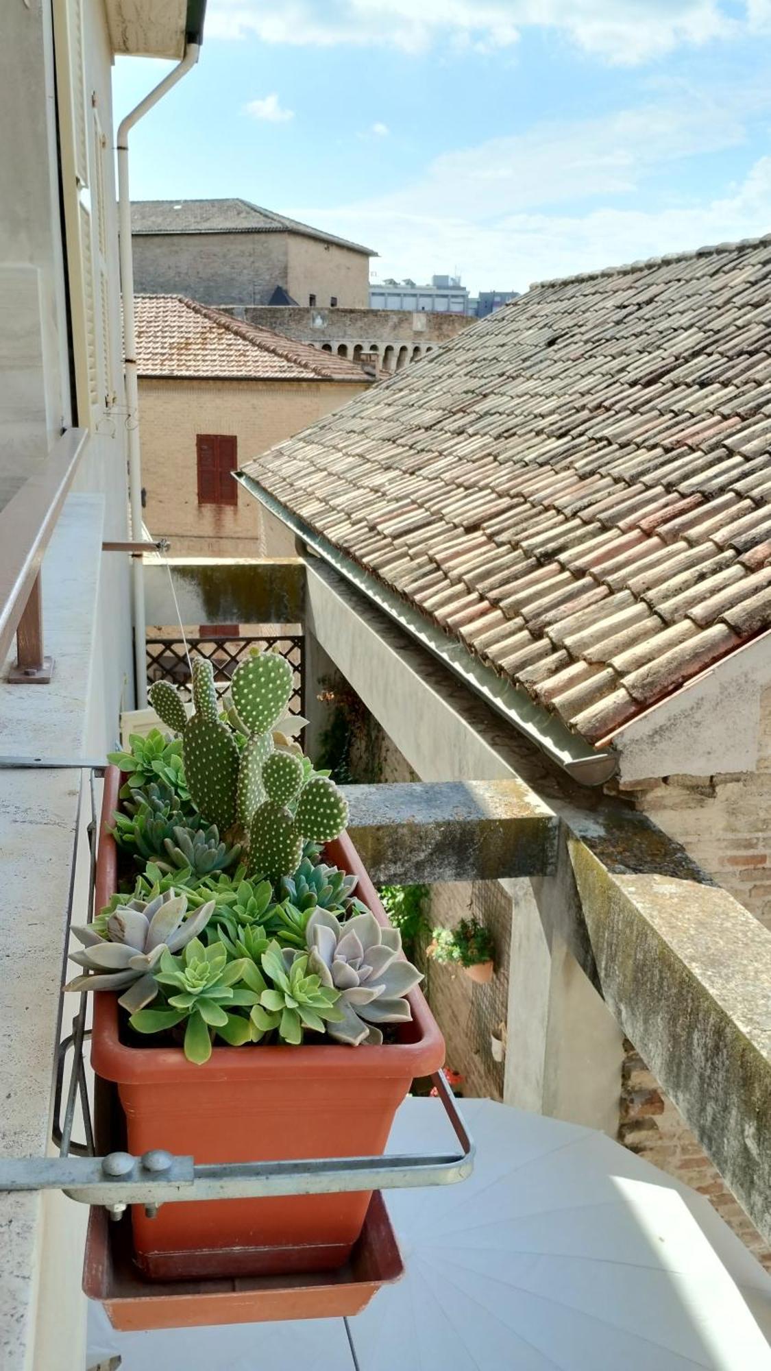 Palazzo Cavalletti - Appartamenti Nel Cuore Di Senigália Exterior foto